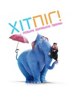 ХітПіг! Розшук домашніх тварин