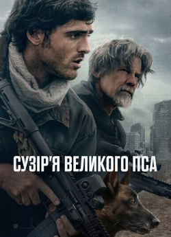 Сузір'я великого пса