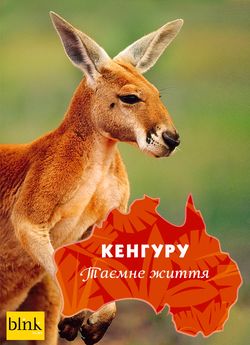 Кенгуру, таємне життя